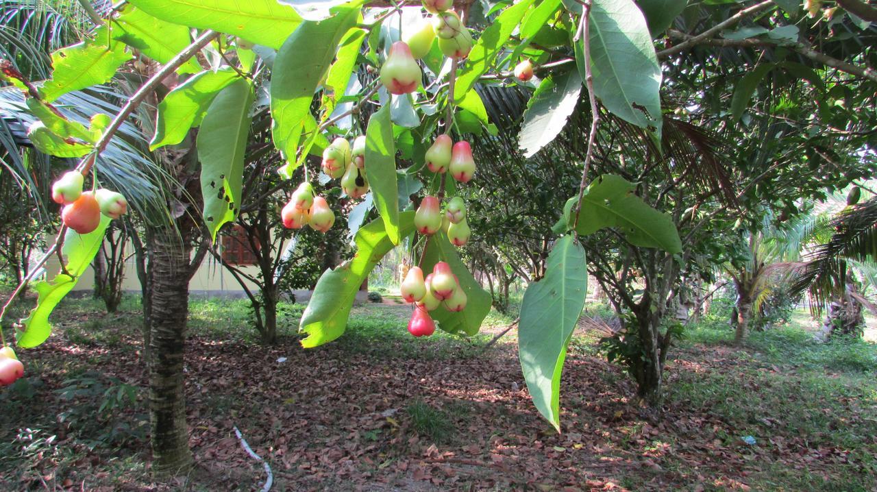 Orchard Fruit Farm Bungalow Phu Quoc Exterior photo