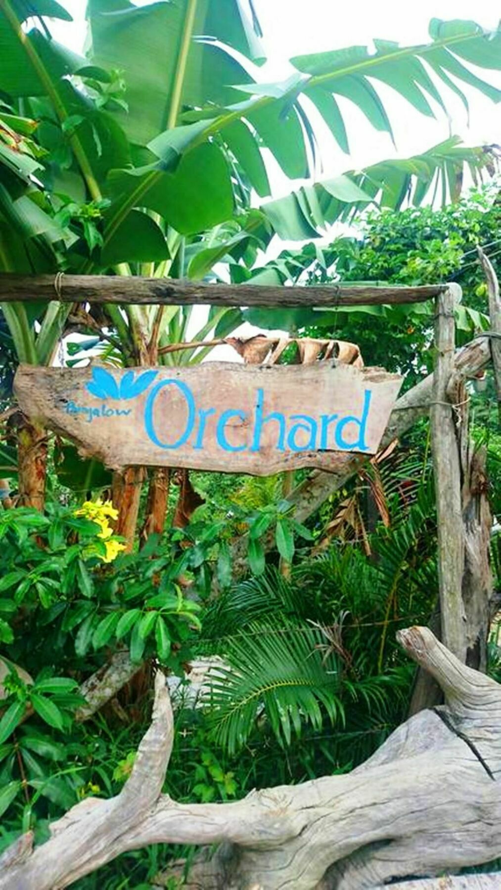 Orchard Fruit Farm Bungalow Phu Quoc Exterior photo